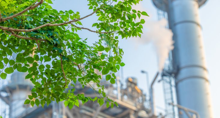 shutterstock 2325451079 1